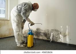 Best Mold Remediation for Healthcare Facilities  in Jennings, LA